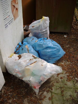 Bild der Müllablagerung hinter dem Kleidercontainer
