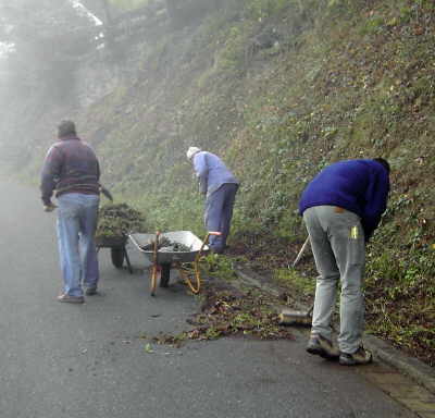 Bild vom Arbeitseinsatz beim Fegen