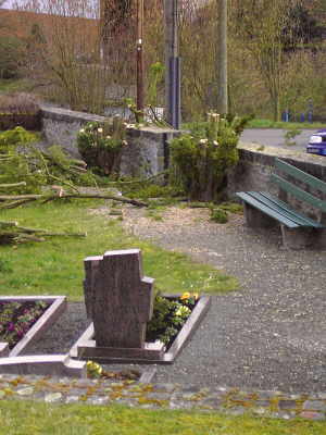 Bild vom Friedhofseingang mit der gekürzten Eiben